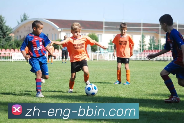 BBIN体育投注平台生态图