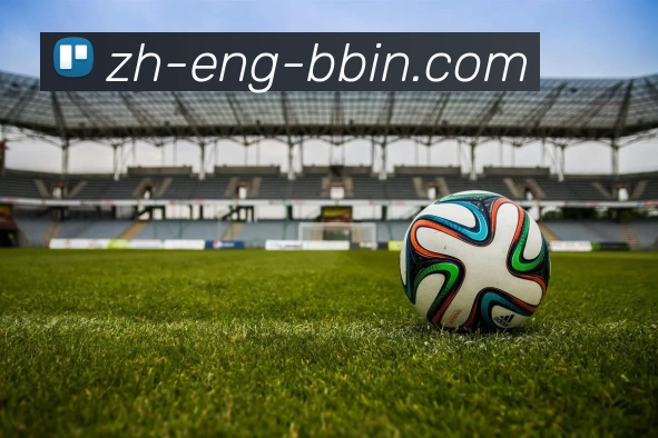 BBIN体育投注全站App
